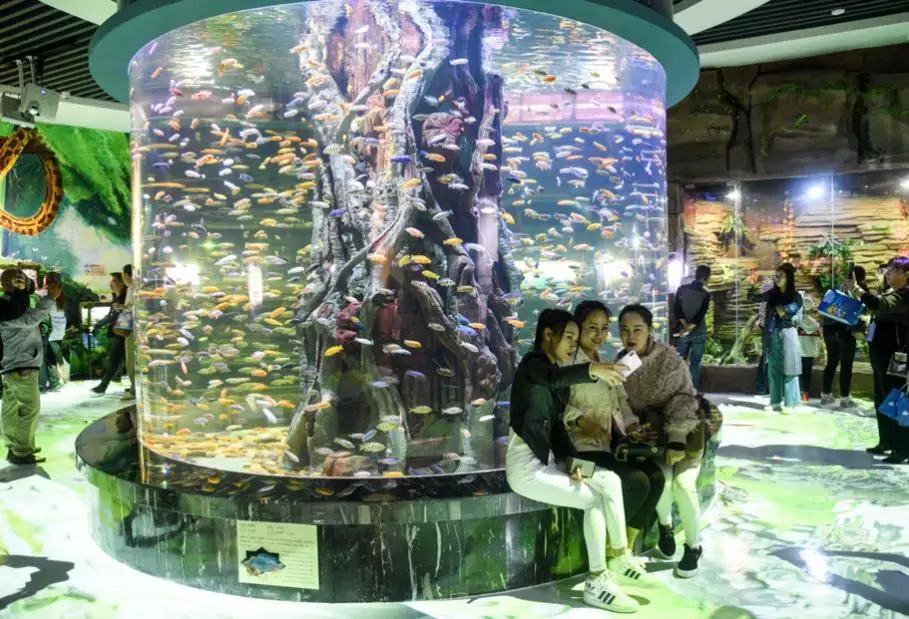 Tourists visit China's first freshwater aquarium for native species from the Mekong River in Xishuangbanna, southwest China's Yunnan province, Jan. 6. Photo by Li Ming/People's Daily Online