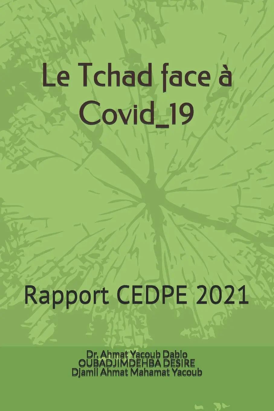 Tchad : le CEDPE publie une étude sur le comportement de la population face au COVID-19