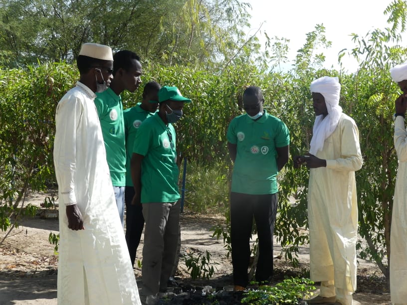 Tchad : au Barh El Gazel, l'ONG Sahkal au devant de la lutte contre la désertification