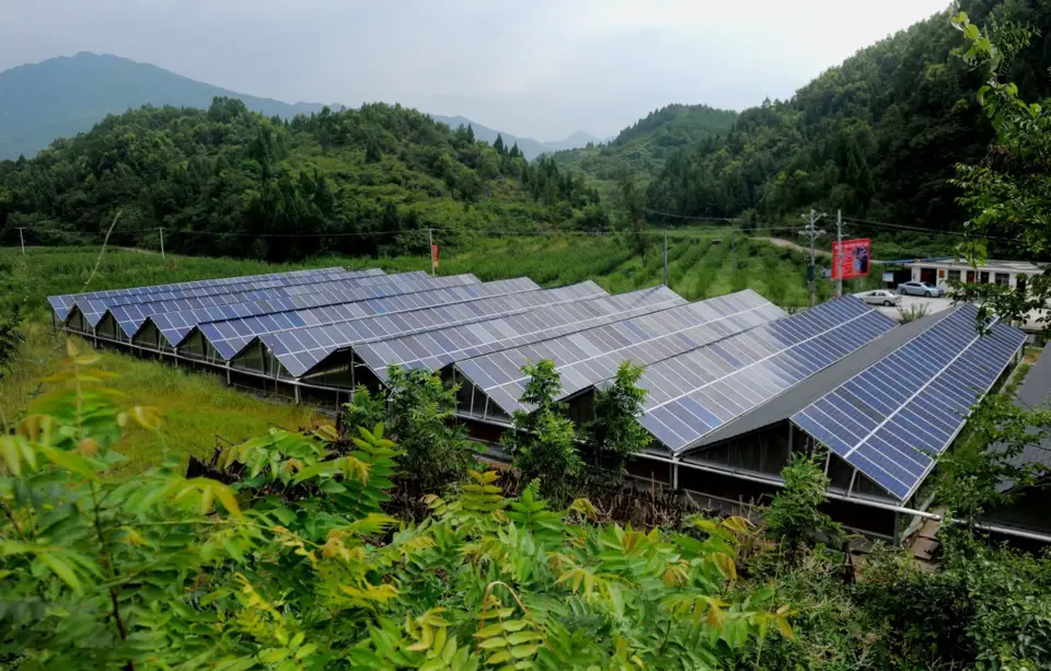 Photo shows photovoltaic greenhouses in Zhailiang village, Wangcang county, Guangyuan, southwest China's Sichuan province. Photo by Wang Yongzhan/People's Daily