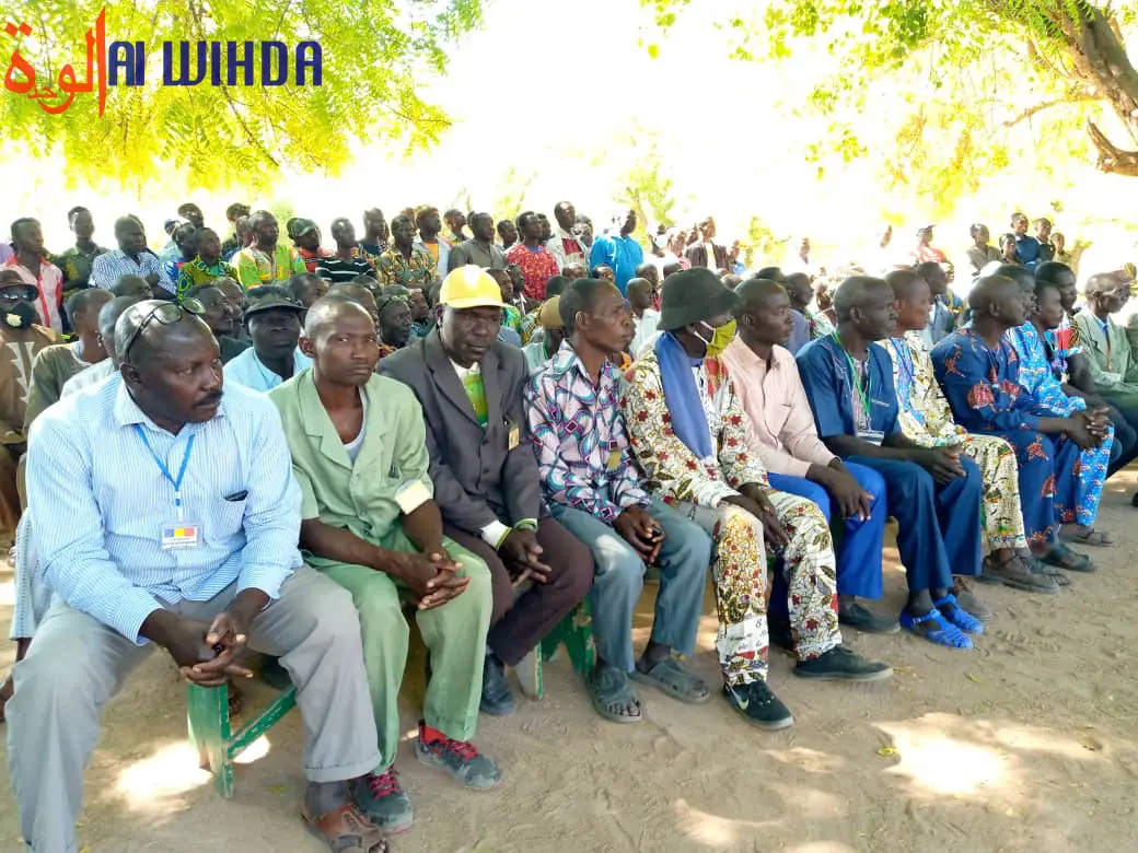 Tchad : réconciliation entre agriculteurs et éleveurs dans la Tandjilé Centre