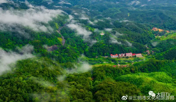 Photo shows the scenery of tea gardens in Datian county, Sanming, southeast China’s Fujian province. (Photo/Datian bureau of tourism, culture, radio, television and sports)