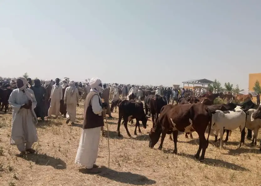 Tchad : un marché à bétail inauguré à Karmé, au Hadjer Lamis. © Min.Élevage