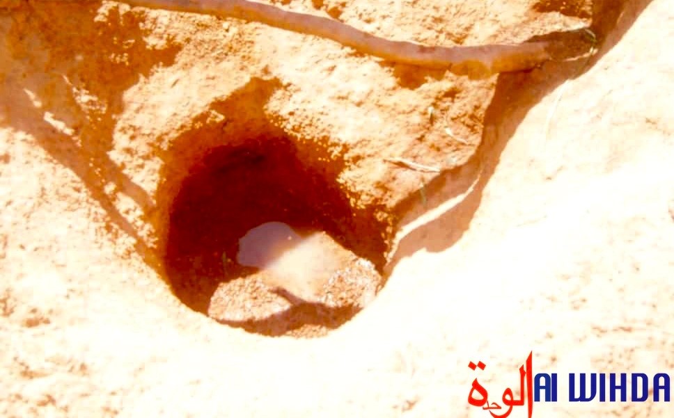 Tchad : La population de Minechir partage l’eau avec les animaux Tchad : La population de Minechir partage l’eau avec les animaux