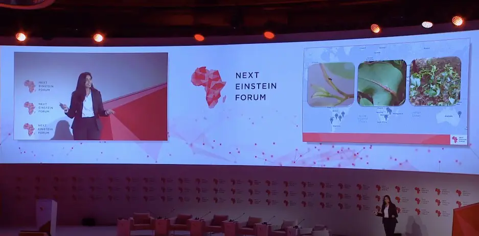 Le Next Einstein Forum annonce la promotion 2019-2021