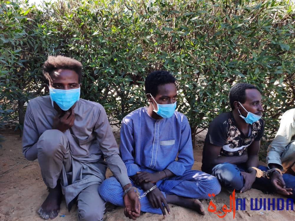 Tchad : la Police arrête 18 présumés malfrats dont trois femmes à N'Djamena