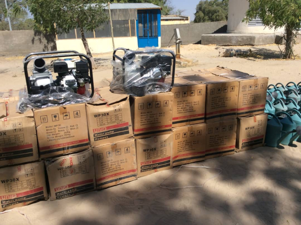 Tchad : les groupements féminins du Lac appuyés par le ministère de la Femme Tchad : les groupements féminins du Lac appuyés par le ministère de la Femme