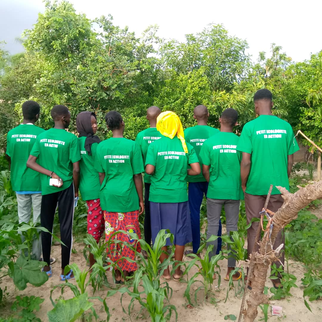 Environnement : le Club des petits écologistes en action balaie le pont à double voie à N'Djamena