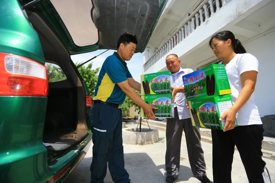 A courier (left) in Suixi County, Huaibei, east China’s Anhui Province picks parcels at a corn processing enterprise in Chenlou village, Suntuan Township, June 8, 2020. (Photo by Wan Shanzhao/People’s Daily Online) A courier (left) in Suixi County, Huaibei, east China’s Anhui Province picks parcels at a corn processing enterprise in Chenlou village, Suntuan Township, June 8, 2020. (Photo by Wan Shanzhao/People’s Daily Online)