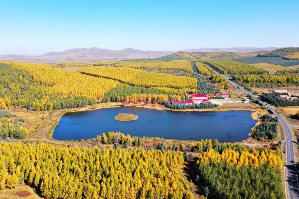 Photo taken on Oct. 1, 2020 shows a beautiful view in Saihanba National Forest Park in Chengde, north China's Hebei province. (Photo by Fan Jiashan/People's Daily Online)