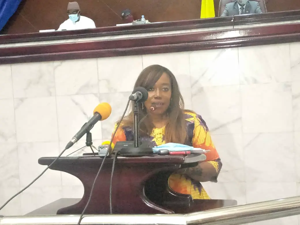 Tchad : Journée d’information sur la drépanocytose à l’Assemblée nationale