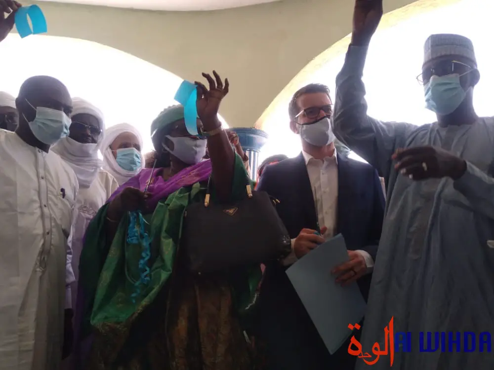 Tchad : un Centre des ressources numériques lancé à Massakory