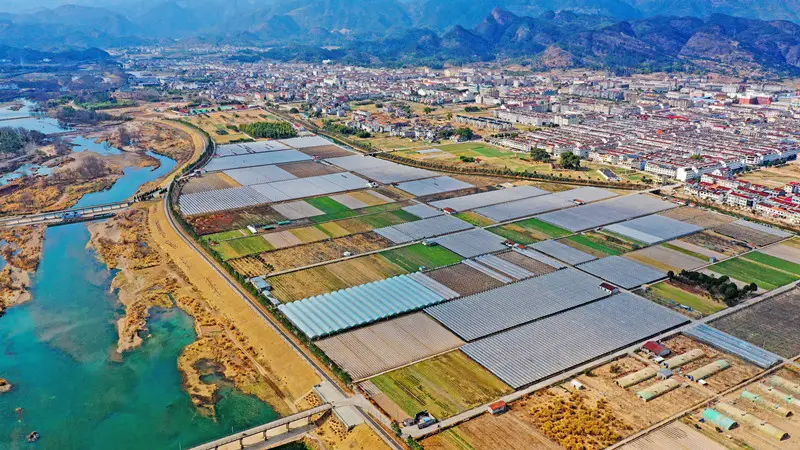 Photo taken on Feb. 1 shows magnificent vegetable and fruit planting bases in the countryside of Hengxi township, Taizhou city, east China’s Zhejiang province. (Photo by Wang Huabin/People’s Daily Online)