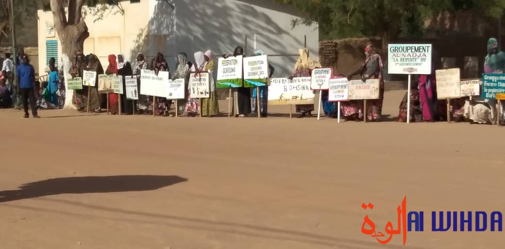 Tchad : la semaine nationale de la femme lancée à Mongo
