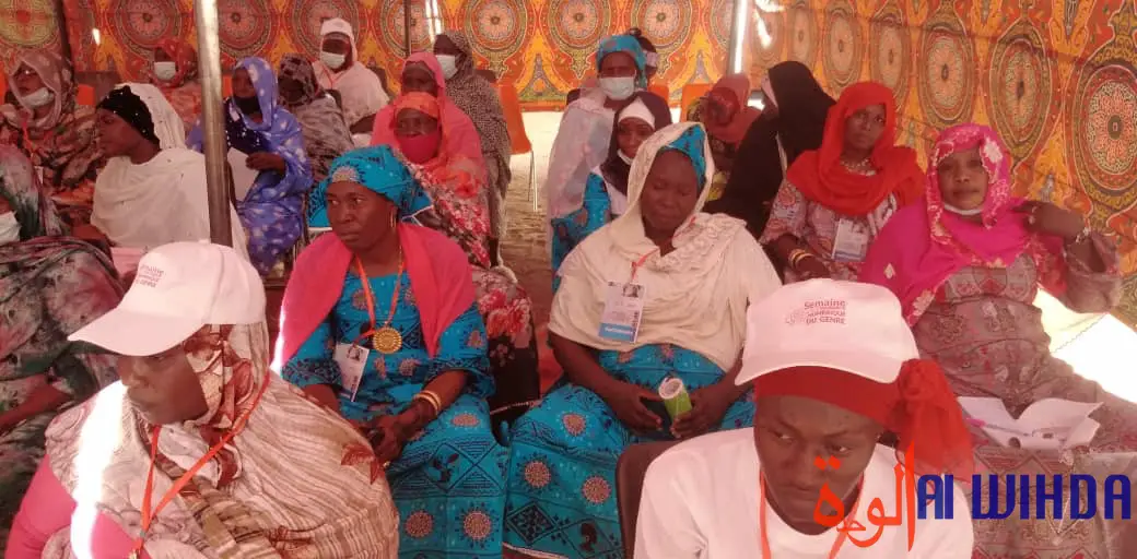 ​Tchad : la semaine de la solidarité numérique du genre prend fin à Mongo