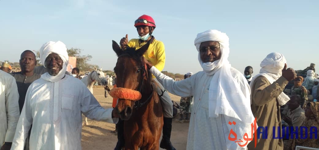 Tchad : "La caravane des éleveurs" lance une compétition hippique Tchad : "La caravane des éleveurs" lance une compétition hippique