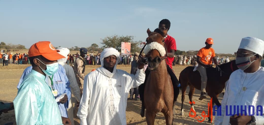 Tchad : "La caravane des éleveurs" lance une compétition hippique Tchad : "La caravane des éleveurs" lance une compétition hippique
