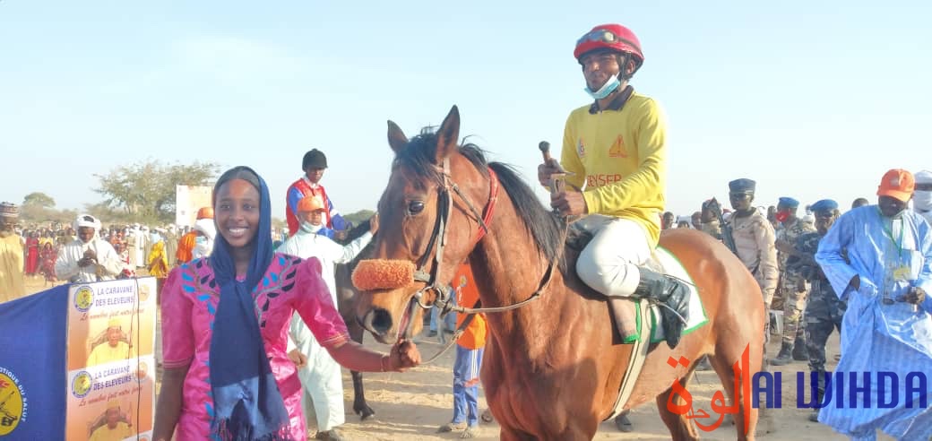 Tchad : "La caravane des éleveurs" lance une compétition hippique