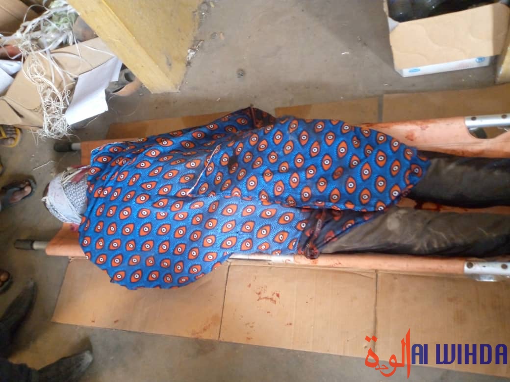 Tchad : un militaire assassine un jeune à Laï et meurt suite à un lynchage Tchad : un militaire assassine un jeune à Laï et meurt suite à un lynchage