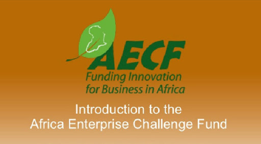 Burkina Faso et Mali : Lancement d'un fonds de soutien à l'innovation