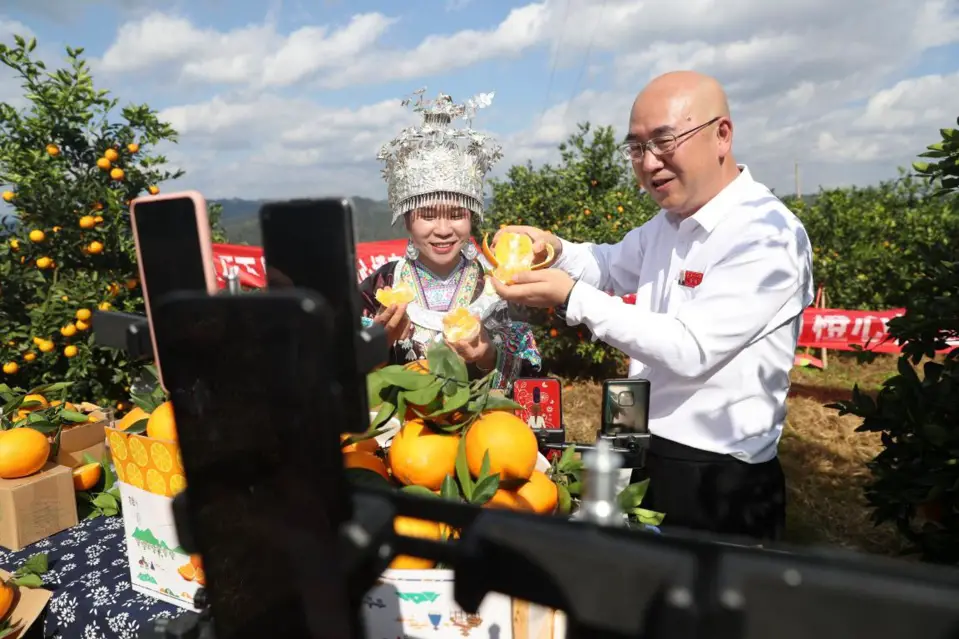 Huang Jian (right), deputy mayor of Rongjiang County, southwest China's Guizhou Province, joins a livestream show to advertise local navel oranges, Nov. 18, 2020. (Photo by Yang Chengli/People's Daily Online)