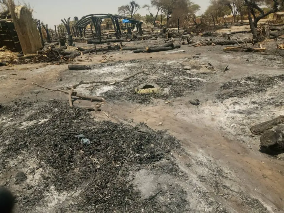 Tchad : d'importantes pertes suite à l'incendie au village Malia, au Lac