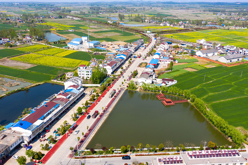 Vehicles are moving on a rural road in Gucheng Township, Feidong County, Hefei, east China's Anhui Province, April 9, 2021. (Photo by Ruan Xuefeng/People's Daily Online) Vehicles are moving on a rural road in Gucheng Township, Feidong County, Hefei, east China's Anhui Province, April 9, 2021. (Photo by Ruan Xuefeng/People's Daily Online)