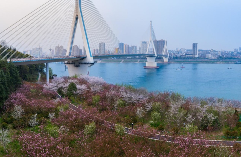 Photo taken on March 14, 2021, shows the area near the south end of Yiling Yangtze River Bridge over the section of the Yangtze River in Yichang, central China’s Hubei province. The area used to be the site of old plants producing port machinery, while now it’s a new tourist attraction where citizens enjoy beautiful scenery at leisure. (Photo by Wang Geng/People’s Daily Online)