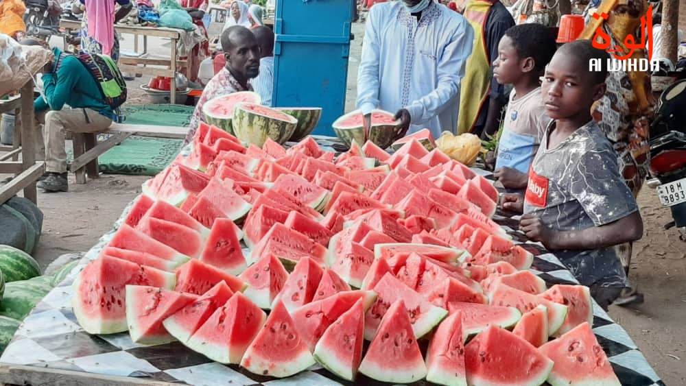 N’Djamena : la pastèque, l'un des fruits les plus consommés en période de Ramadan N’Djamena : la pastèque, l'un des fruits les plus consommés en période de Ramadan