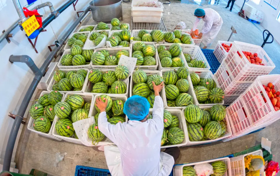 Better cold chain logistics facilities bring benefits to consumers and sellers of fresh food in China