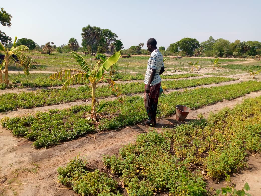 Tchad : la ferme intégrée de Laï est aujourd'hui une réalité