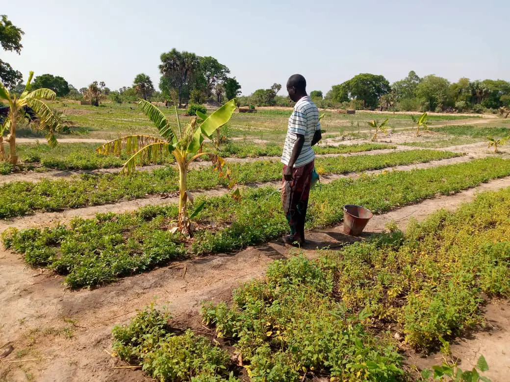 Tchad : la ferme intégrée de Laï est aujourd'hui une réalité