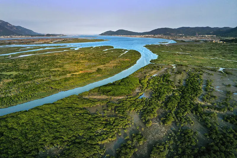Photo taken on April 22, 2021, shows mangroves bathed under the sunset in the estuary of Zhangjiang River, Zhangzhou, southeast China’s Fujian province. (Photo by Zhao Min/People’s Daily Online)