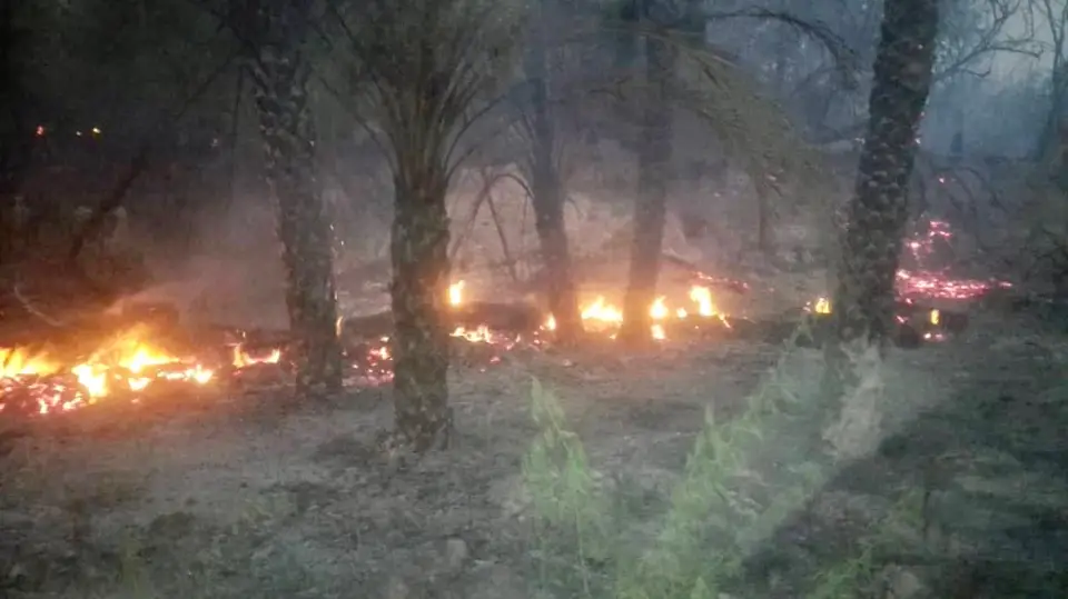 Tchad : un incendie fait des ravages à Mao