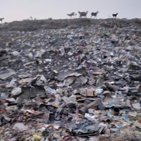 Abakar Khamis : « La gestion des ordures et l'assainissement sont des défis pour la capitale »