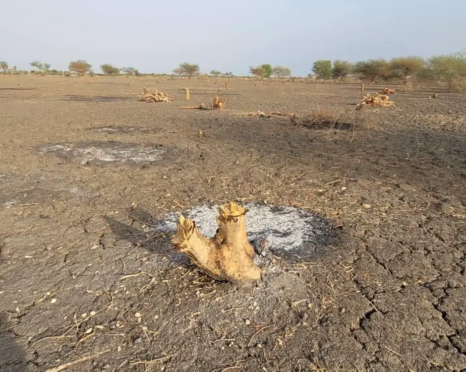 Tchad : une réflexion et un diagnostic sur la gouvernance environnementale en perspective. © Min.Environnement