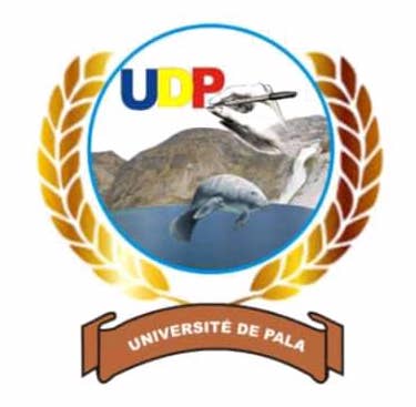 Tchad : une semaine de grève à l'université de Pala