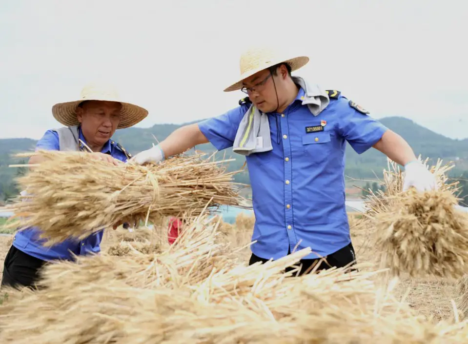 Members of the Communist Party of China help villagers harvest wheat in Yinan county, east China's Shandong province, June 9, 2021. (Photo by Du Yubao/People’s Daily Online)
