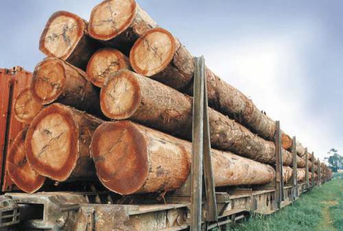 Togo : signature d’un accord d’importation des produits du bois gabonais