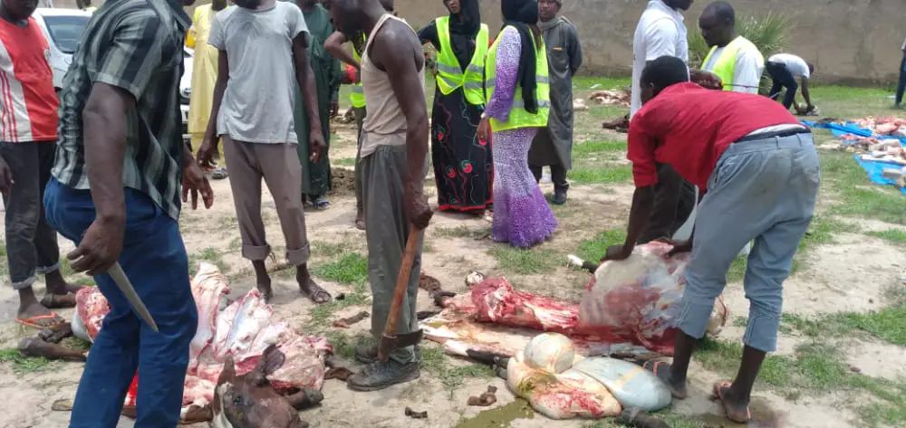 Tchad : Help for Miskine distribue de la viande aux démunis de N´Djamena