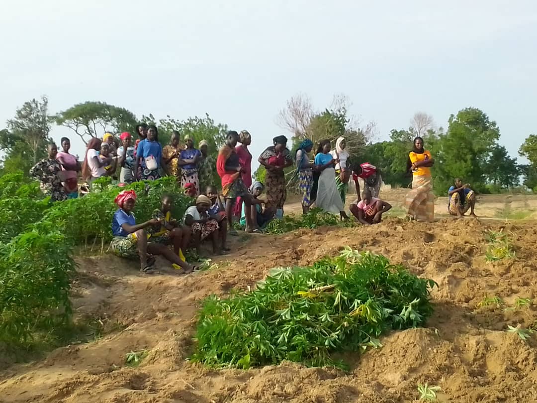 Tchad : vente de manioc, l'activité des jeunes vacancières