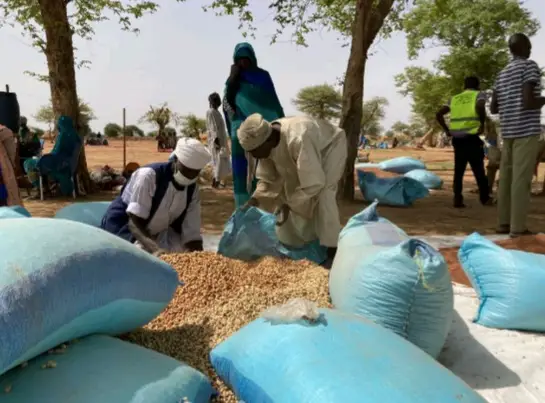 Tchad : les ménages vulnérables appuyés en intrants et outils agricoles au Sila