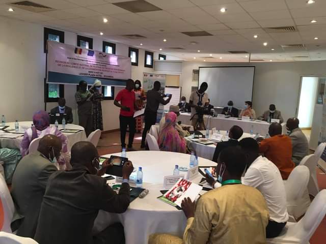 Tchad : plaidoyer de la GIZ pour le projet de renforcement de la résilience et de la cohabitation Tchad : plaidoyer de la GIZ pour le projet de renforcement de la résilience et de la cohabitation