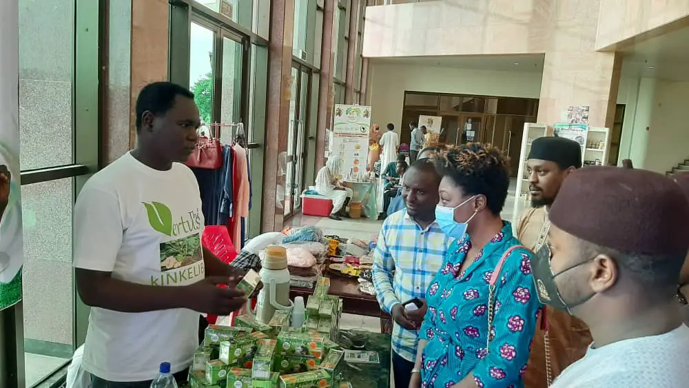 Tchad : thé à base de Kinkeliba, un produit aux multiples bienfaits pour la santé