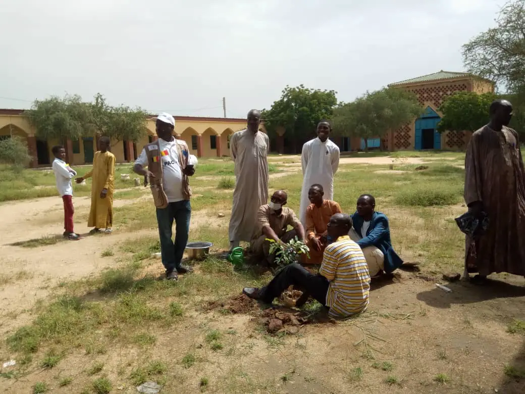 Tchad : des plants de Mourraye mis en terre au lycée franco-arabe d'Abéché