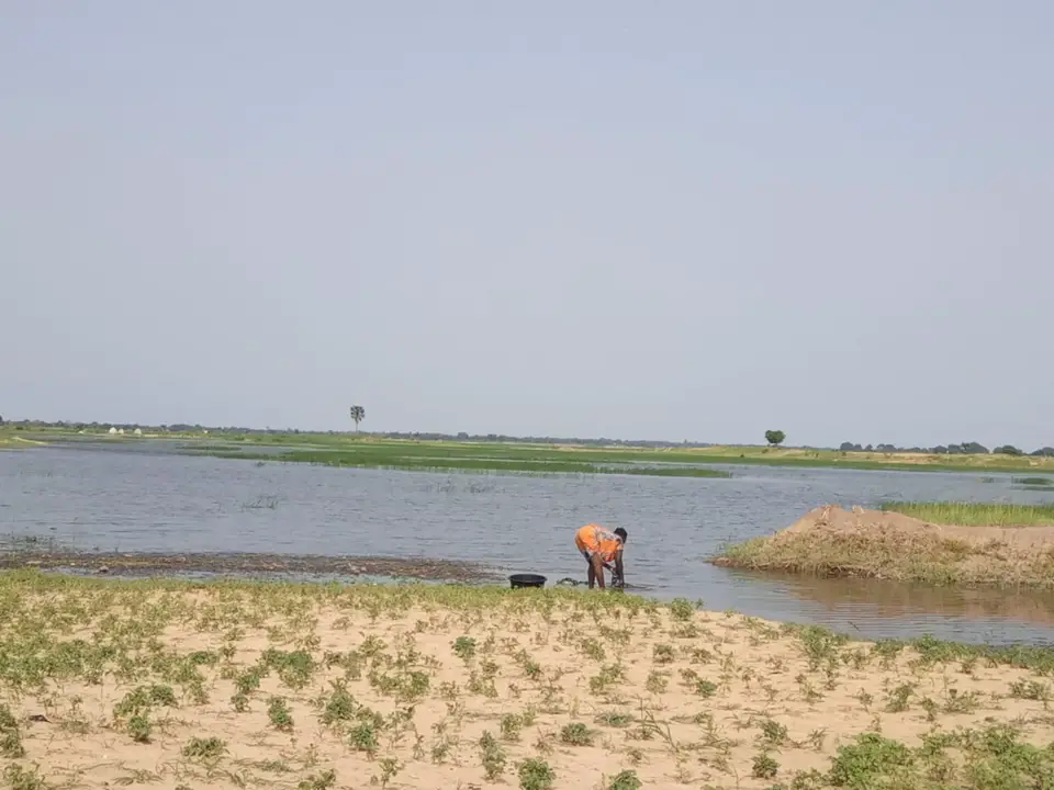 Tchad : le fleuve Chari sort de son lit, les riverains en perpétuel danger à N'Djamena