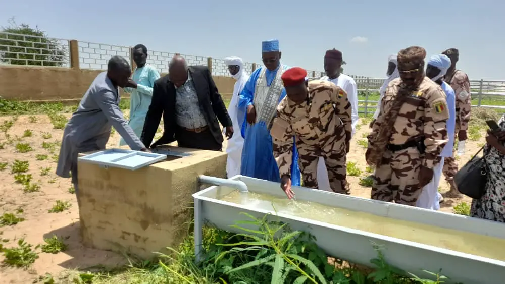 Tchad : le marché à bétail de Koundjourou officiellement réceptionné