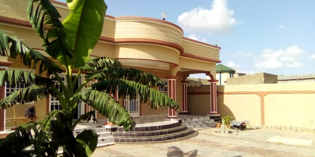 Tchad : la peinture bâtiment, un autre trésor caché pour entreprendre Tchad : la peinture bâtiment, un autre trésor caché pour entreprendre