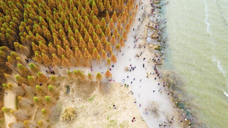 Photo shows visitors enjoying spring scenery at the Laoyuhe wetland park in Kunming, southwest China’s Yunnan province. (Photo by Hu Zunhui/People’s Daily Online)