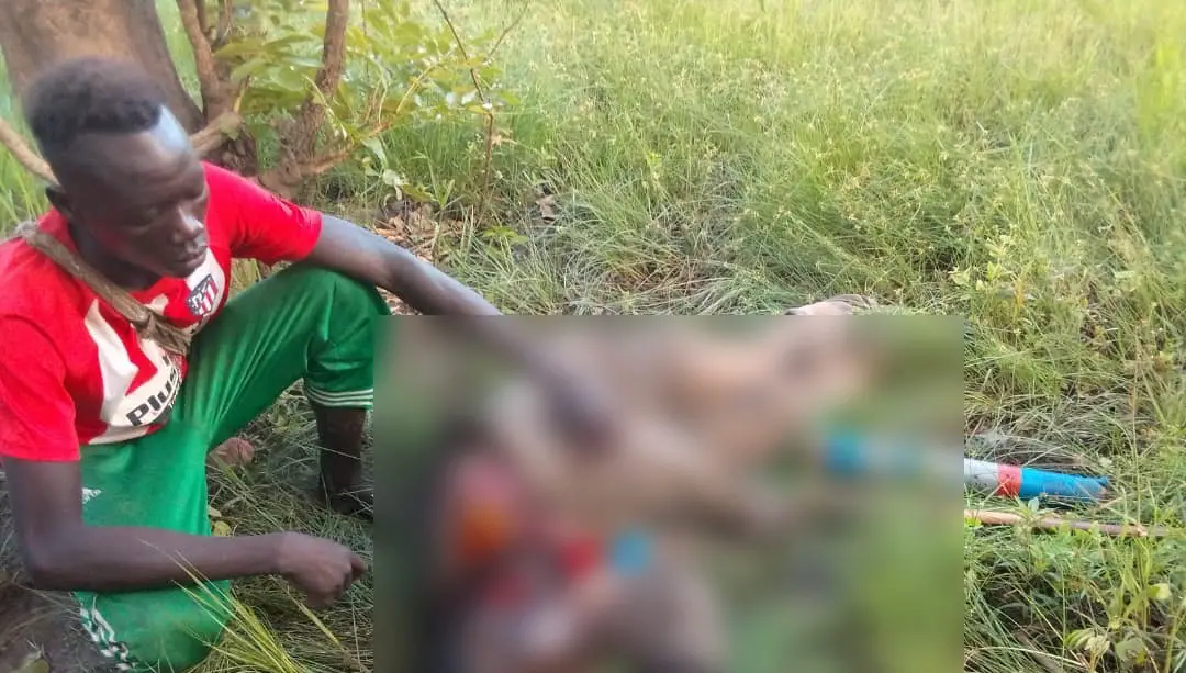 Tchad : un homme égorgé dans son champ après la disparition d'un mouton